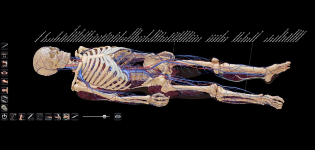 Foto: Anatomage / omicrono.com