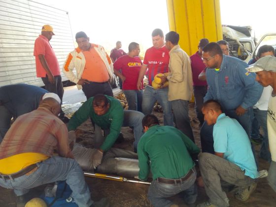 Los paramédicos de Alcasa en las labores de rescate y la gente agarrando melón 
