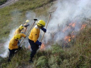 Fuerte incendio en Miranda deja sin vivienda a seis familias