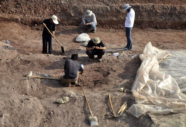 ¡Ay chamo! Descubren nuevos restos de dinosaurios en Uzbekistán y la India