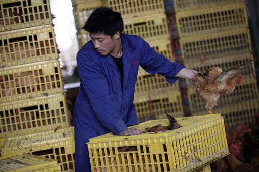 Ya son cinco los muertos por gripe aviar en China