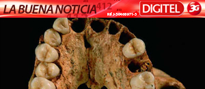 El fósil de un adolescente confirma la existencia del Homo Antecesor