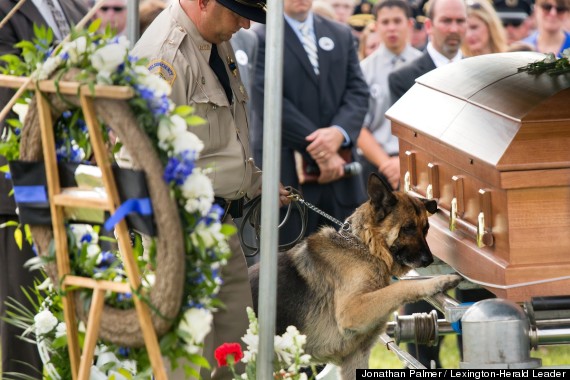 Perro da su último adiós a excompañero policía (Foto + No se vale llorar)