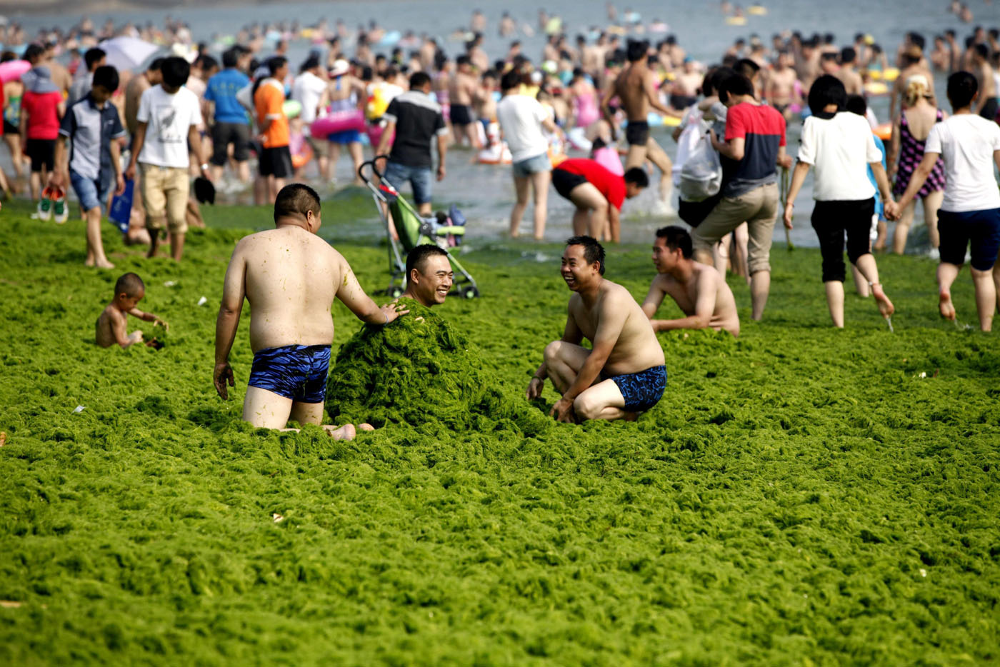 Chinos se bañan en mar verde (Foto + Asquito)