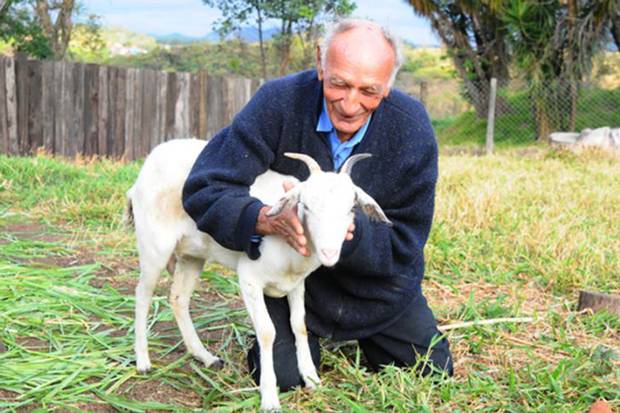 Un hombre se casa con su cabra en una iglesia satánica (Foto)