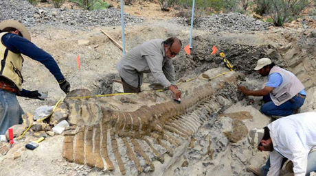 Hallan nueva especie de dinosaurios carnívoros de América del Norte