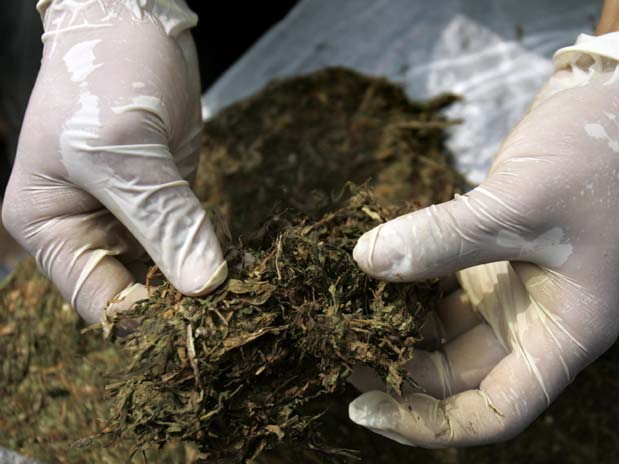 Las autoridades incautan 1,75 toneladas de marihuana en el noreste colombiano