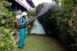 Baruta es el municipio con menos casos de dengue a escala nacional