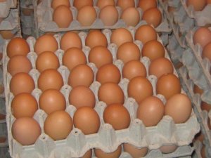 Precios del cartón de huevo se mantienen desde diciembre