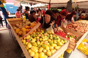 Reportan aumento de más de 40% en precios de frutas