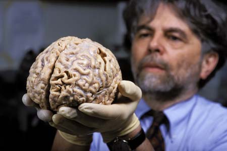 Esculpir el cerebro, mucho más allá de un sueño de Ramón y Cajal