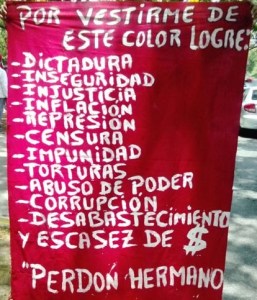 Pancartas en Venezuela: “Hasta Chávez se pronunció en contra de pedir permiso”  (Fotos)