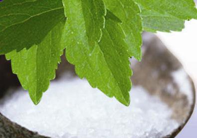 La stevia gana terreno entre los científicos como edulcorante no calórico