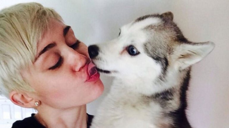 Miley Cyrus contrata a médium para contactar a su perro muerto