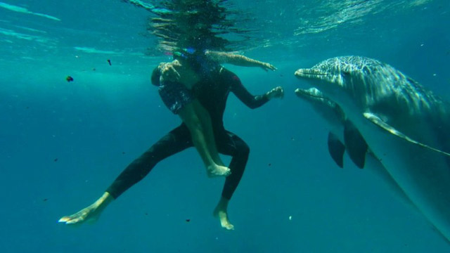 Delfines como terapia en Cuba (Video)