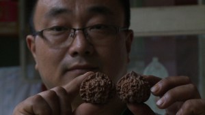 Las nueces, el nuevo oro chino (Video)