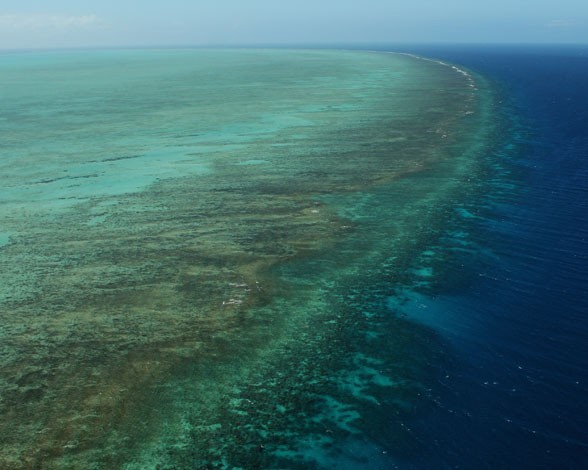 Unesco publica alarmantes cifras sobre explotación de reservas de pescado