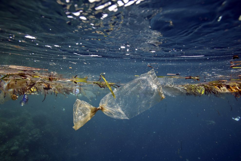 El primer mapa mundial sobre el plástico flotante en el mar