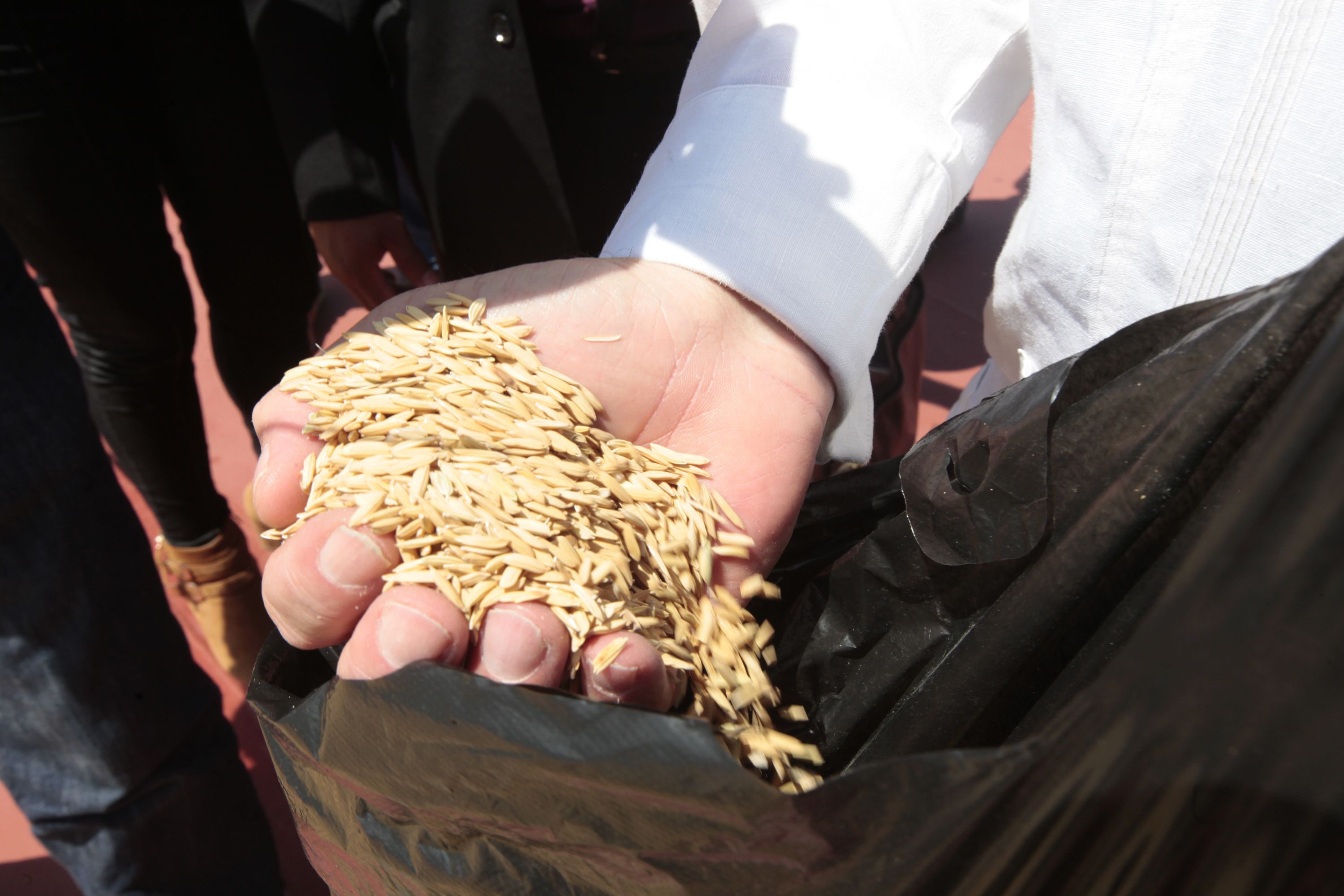 Industria pide aumentar el kilo de arroz a 38,74 bolívares para cubrir costos