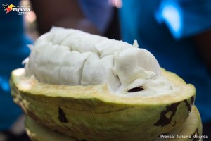 Birongo: Entre el olor del cacao y el aroma cítrico de la mandarina