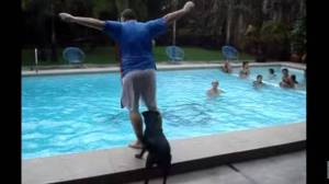 Este perro es todo lo opuesto a un salvavidas (VIDEO)