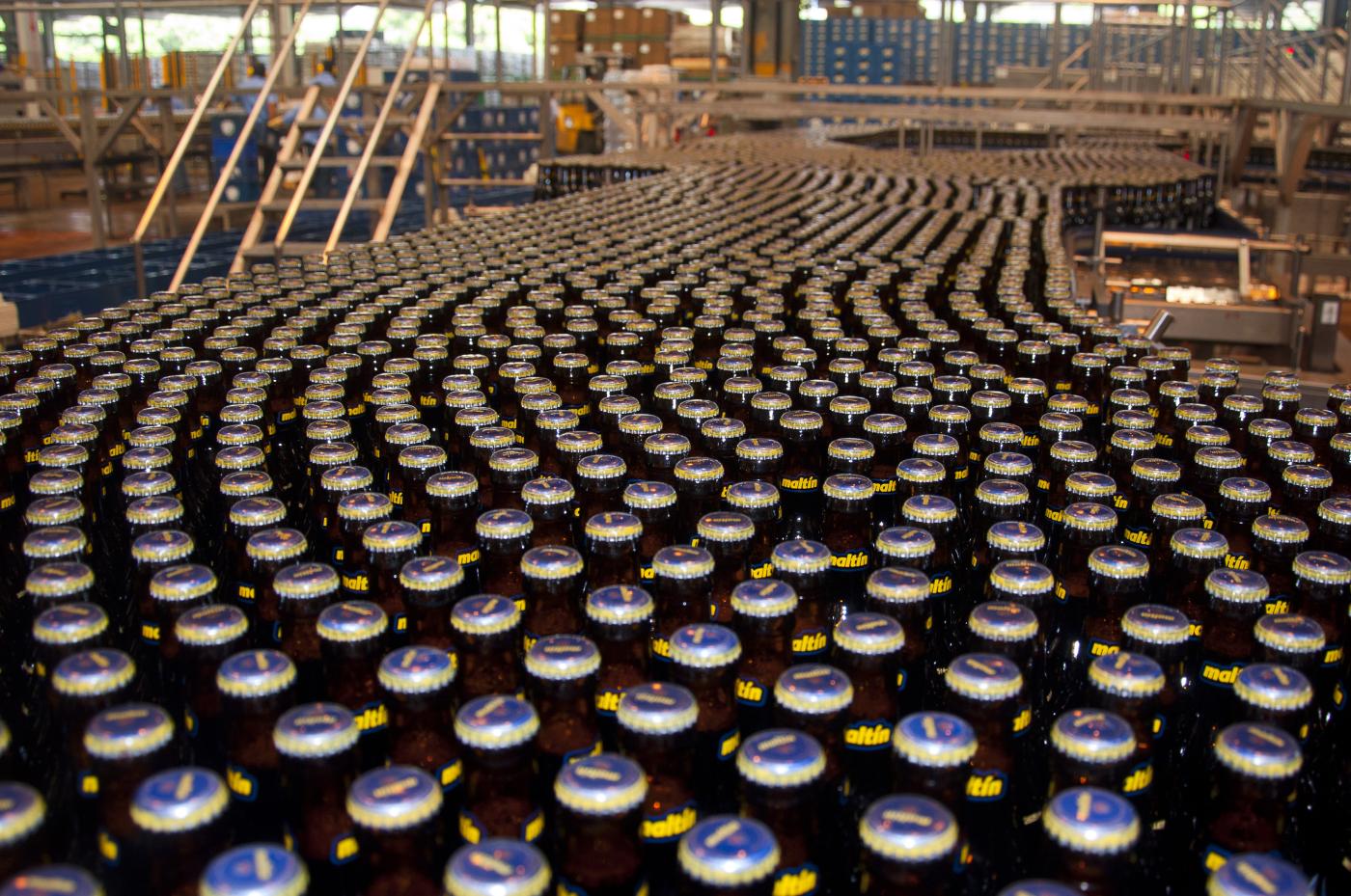Hasta agosto hay materia prima para producir cerveza y malta