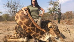 Otra cazadora estadounidense se jacta en redes sociales de matar animales