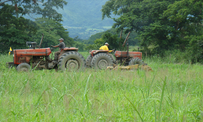 Gobierno oficializa la venta del 50% de la producción agrícola a los Clap