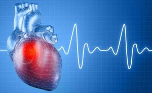 Detectan una proteína que puede regenerar células cardíacas tras un infarto