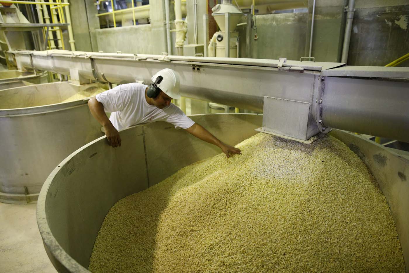Fedeagro advierte que la producción de maíz alcanza para 60 días