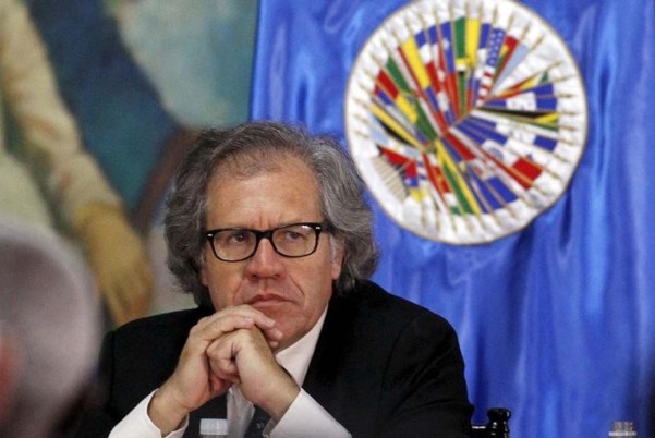 El secretario general de la OEA, Luis Almagro (REUTERS Jorge Cabrera)