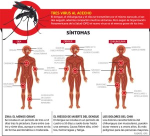 El zika es el nuevo virus primo hermano de la chikungunya