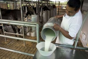 Detienen a ocho productores de queso por negarse a pagar porcentaje de ganancia