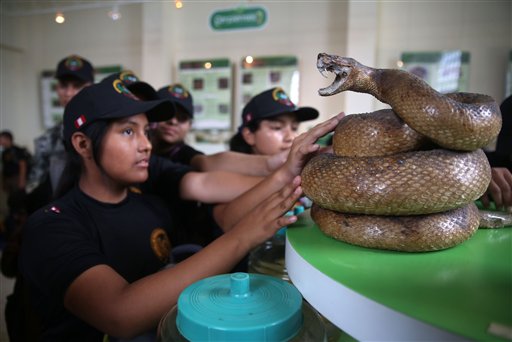  (AP Foto/Marín Mejia)