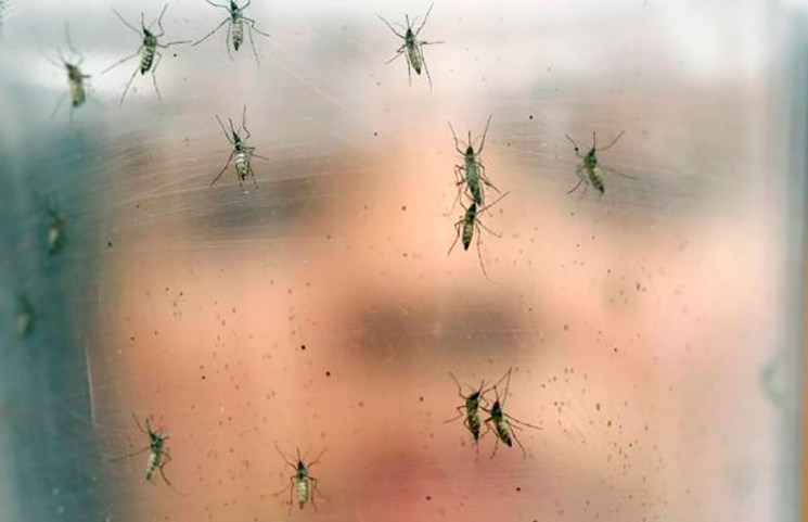 República Dominicana confirma 10 casos de Zika
