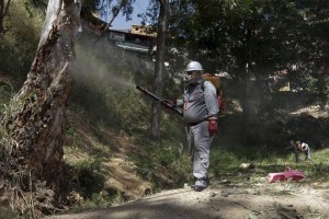 Gobierno venezolano oculta cifras de casos de Zika, dicen médicos