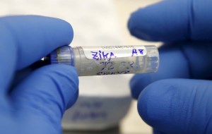 Empresa de biotecnología asegura haber creado dos vacunas contra el virus del Zika