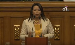 Yajaira Forero: Es competencia del parlamento decretar amnistía