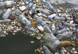 Conoce la bacteria que “come” plástico y reiventaría el reciclaje en el mundo