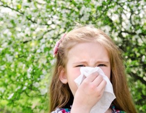 Demuestran que el factor genético es clave en las alergias