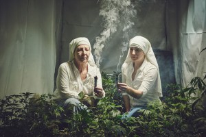 ¡Cool! Estas monjas cultivan marihuana para curar al mundo