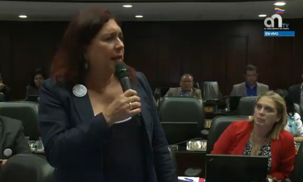 Tamara Adrian al chavismo: La ley no perdona asesinatos, leanla y dejen de repetir mentiras