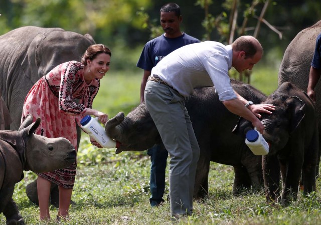 Britain's Prince William and his wife Catherine, the Duchess of Cambridge, feed baby elephants at the Centre for Wildlife Rehabilitation and Conservation (CWRC) at Panbari reserve forest in Kaziranga, in the northeastern state of Assam, India, April 13, 2016. REUTERS/Adnan Abidi