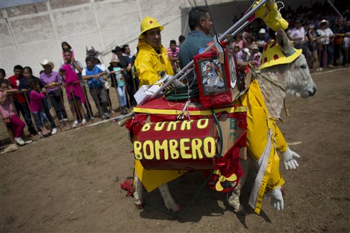 Un pueblo mexicano celebra la feria anual de burros (Fotos)