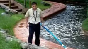 La lucha de un empleado de Disney por alejar a un caimán de una montaña rusa (video)