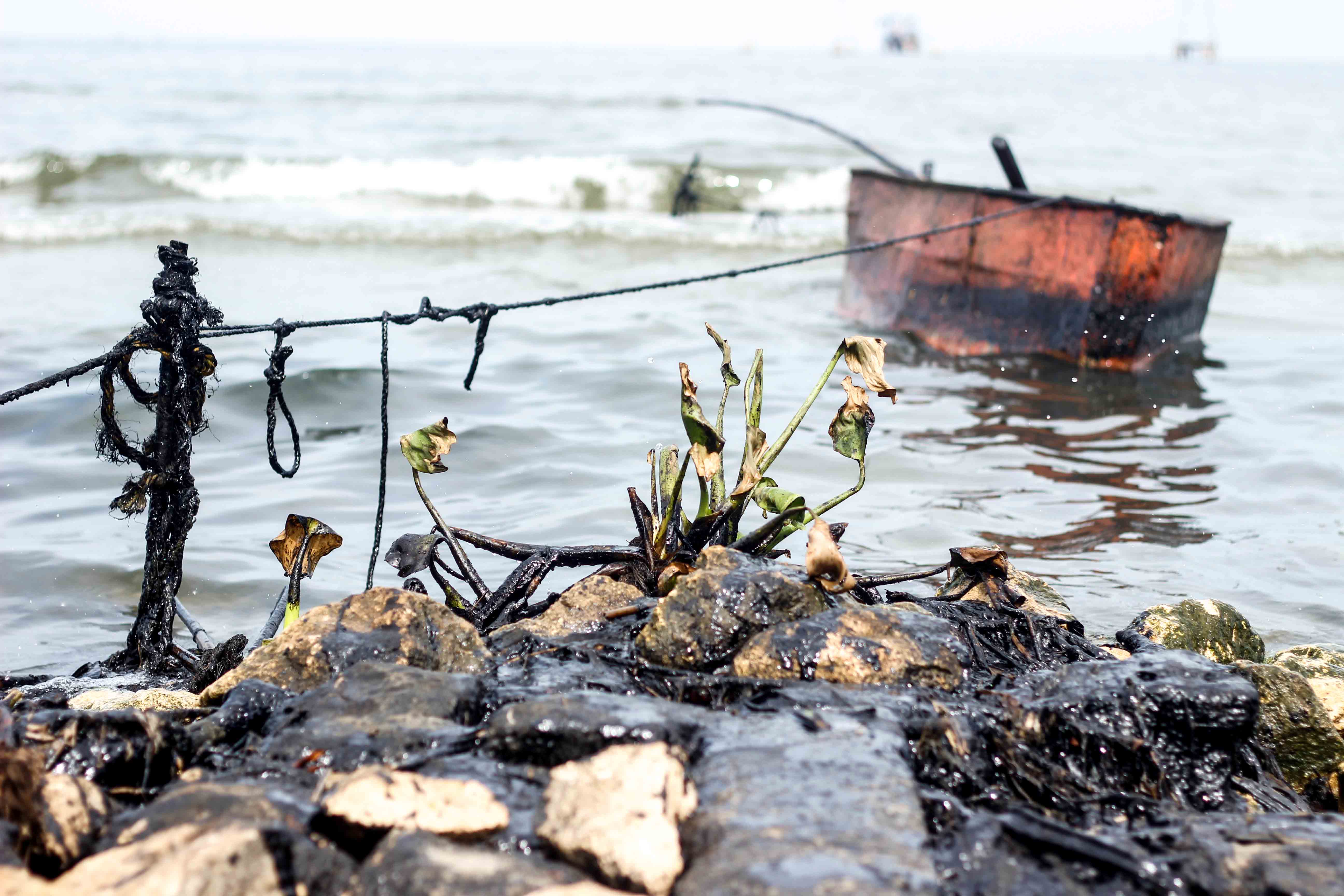 Voluntad Popular: Manchas de petróleo cubren costas de Lagunillas en el Zulia (Fotos)