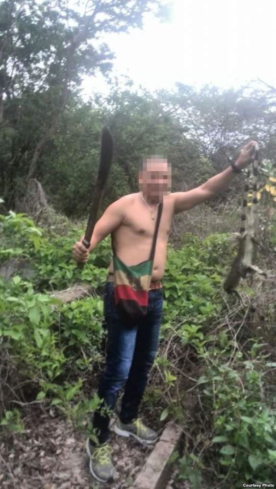 Médicos cubanos cazan iguanas en Venezuela. Foto: martinoticias.com