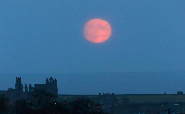 A supermoon rises over Whitby Abbey, in North Yorkshire, Britain November 13, 2016. REUTERS/Craig Brough