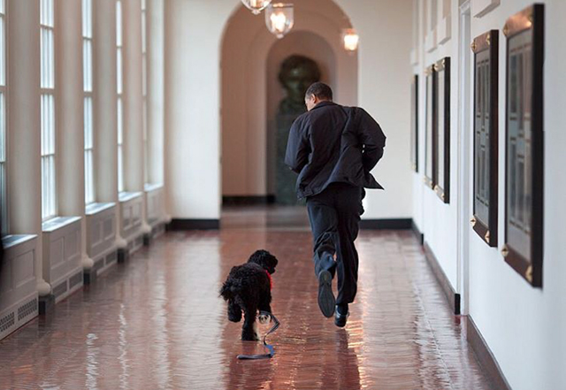 El presidente corre con su perro ‘Bo’ por una terraza en el este de la residencia, octubre del 2016.