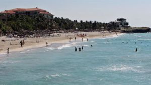 Cuba incentiva especies acuáticas que ayudan a formar arena en playas y dunas